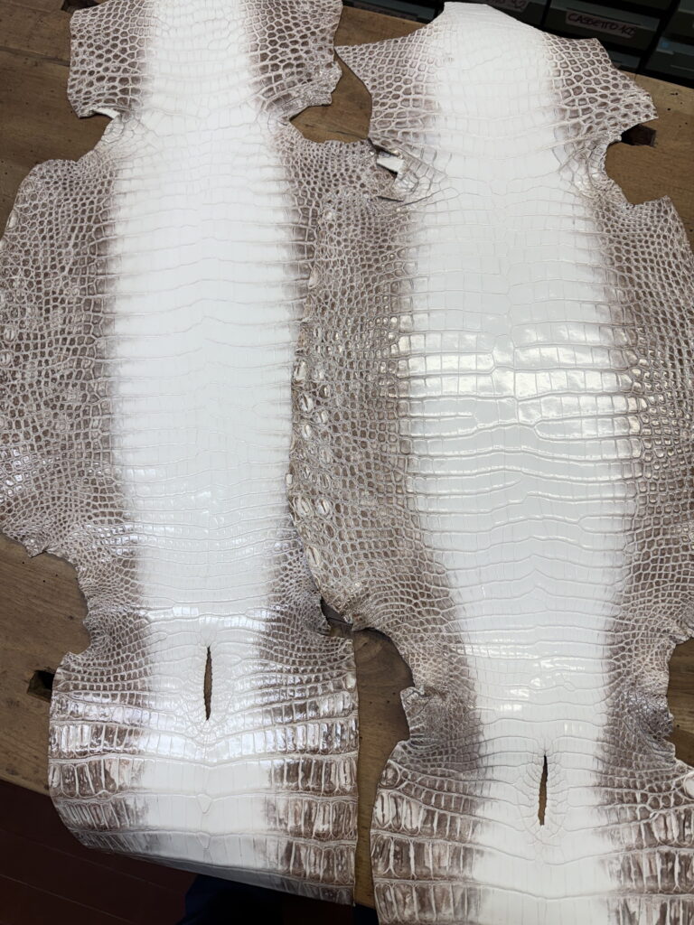 crocodile leather